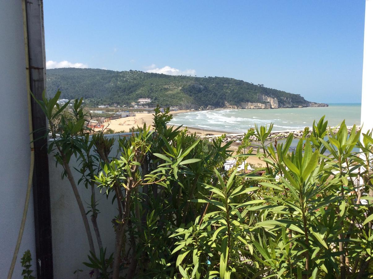 Hotel Elisa - Spiaggia Privata Inclusa Peschici Esterno foto