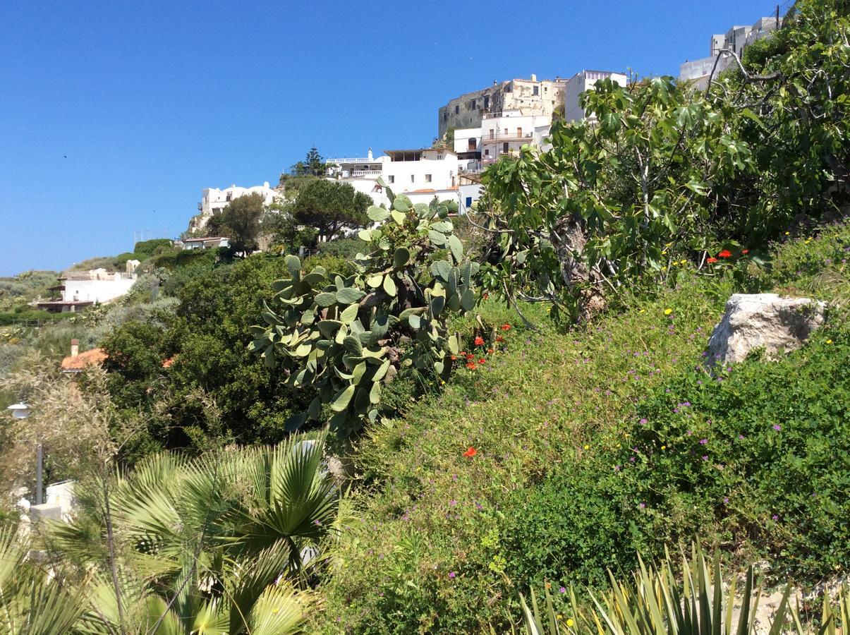 Hotel Elisa - Spiaggia Privata Inclusa Peschici Esterno foto